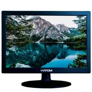 Monitor Profissional Hayom 15" HD 60Hz TN - MO6006