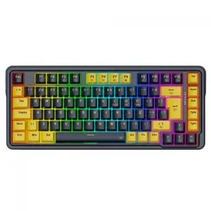 Teclado Mecânico Gamer Redragon Elf RGB Switch Melt Gold Black/Yellow K649PY-RGB PT