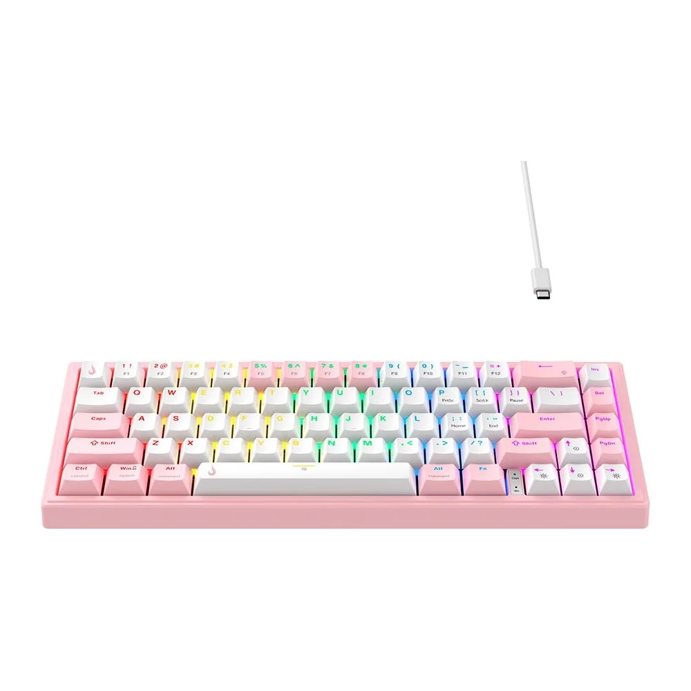 Teclado Mecânico Gamer Rise Mode GM1 Pro White and Pink ARGB Switch Outemu Blue USB-C Branco e Rosa RM-TCM-GM1P-WPBLUE - Imagem 2